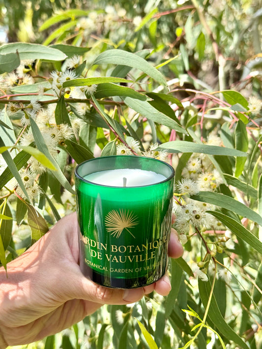 Bougie du Jardin à l'eucalyptus